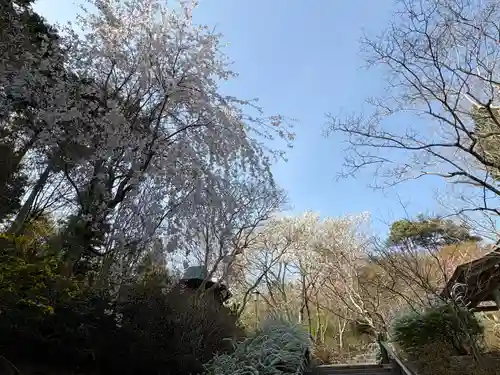 忉利天上寺(兵庫県)