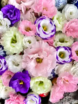 伊達神社の手水舎