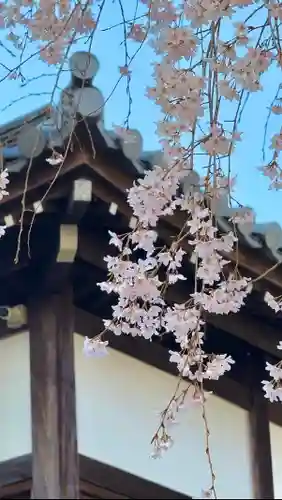 東郷寺(東京都)