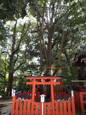 賀茂御祖神社(下鴨神社)の末社・摂社