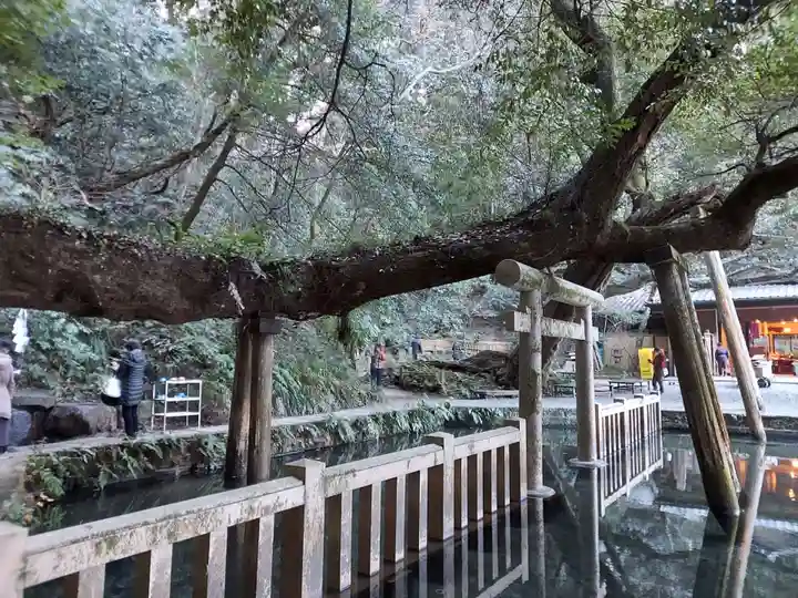 鹿島神宮(茨城県)