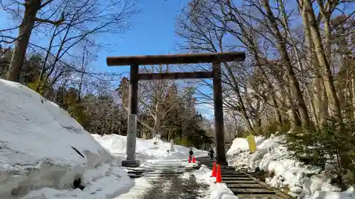 北海道神宮の鳥居