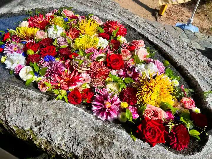 櫻井神社の手水舎