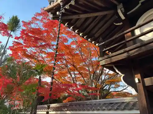 源光庵(京都府)