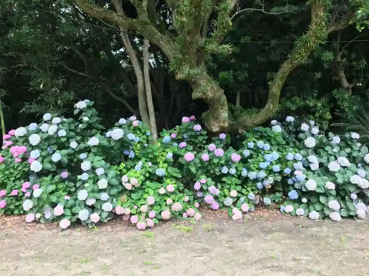 年毛神社(福岡県)