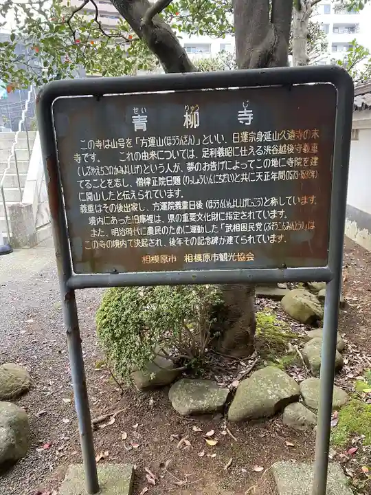 青柳寺(神奈川県)