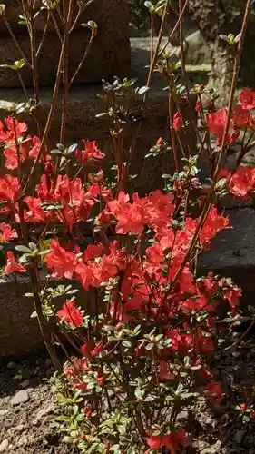 妙蓮寺(京都府)