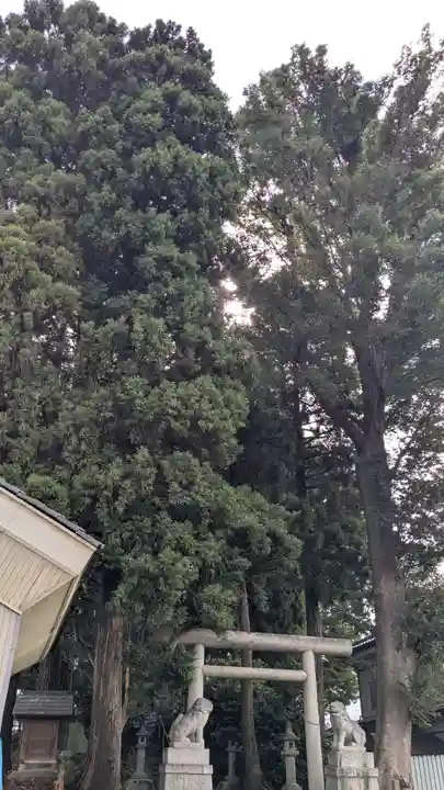 神明社(竹内天神堂古墳)のお墓