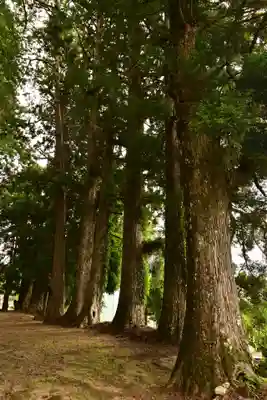 鉾神社(徳島県)