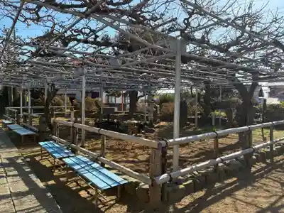 高圓寺(千葉県)