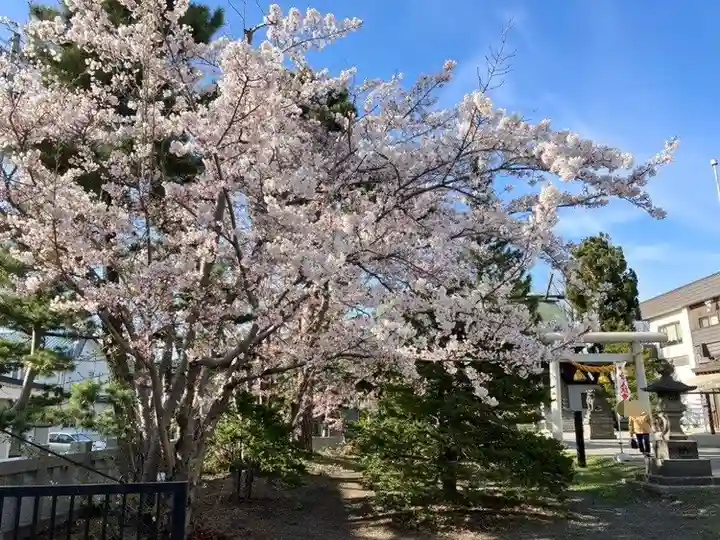 烈々布神社の自然
