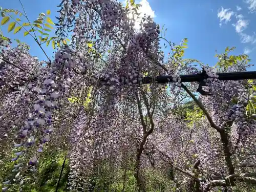 天台宗 五大山 白毫寺(兵庫県)