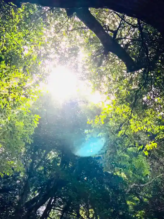 鹿島神宮(茨城県)