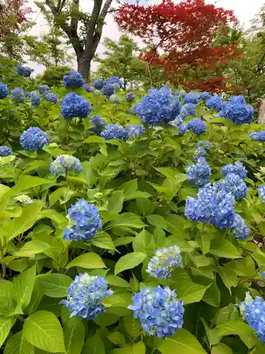 大國神社(宮城県)