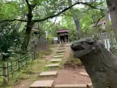 稲毛浅間神社の狛犬