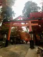 日吉大社の鳥居