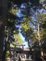 伊勢神宮内宮(皇大神宮)の自然