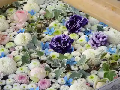 高円寺氷川神社の手水舎