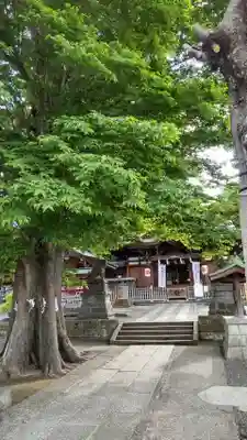 滝野川八幡神社(東京都)