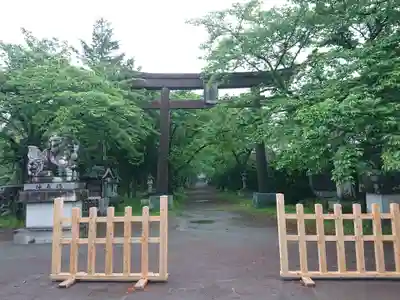 冨士御室浅間神社の鳥居