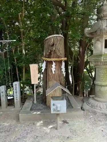 白山神社（二子町）の自然