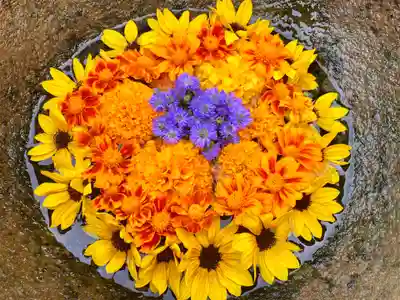 真言宗　善通寺派　薬王寺(香川県)