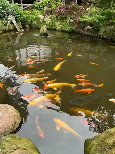 楽法寺（雨引観音）(茨城県)
