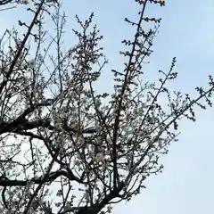 大洗磯前神社(茨城県)