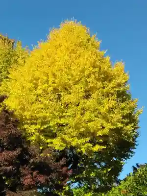 長壽寺（長寿寺）(神奈川県)