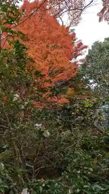 霊鑑寺門跡(京都府)