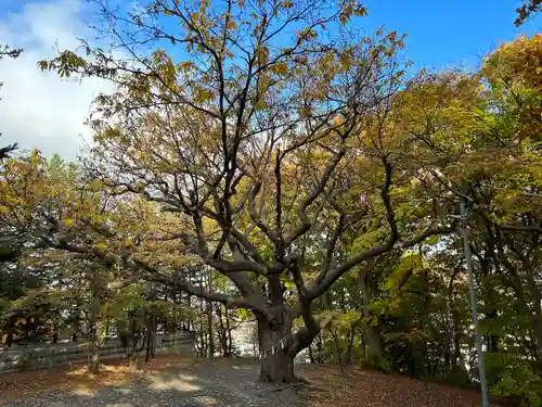 相馬神社(北海道)