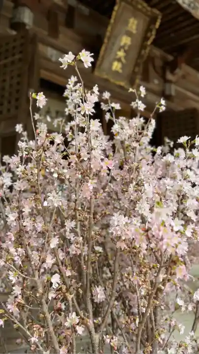 熊野大社(山形県)