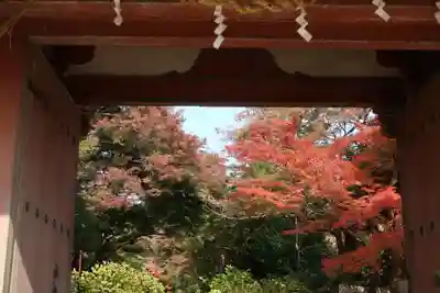 久安寺(大阪府)