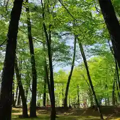 滑川神社 - 仕事と子どもの守り神の周辺