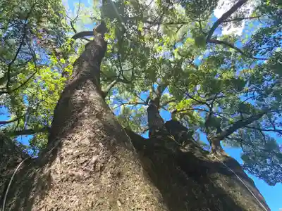 藤白神社(和歌山県)