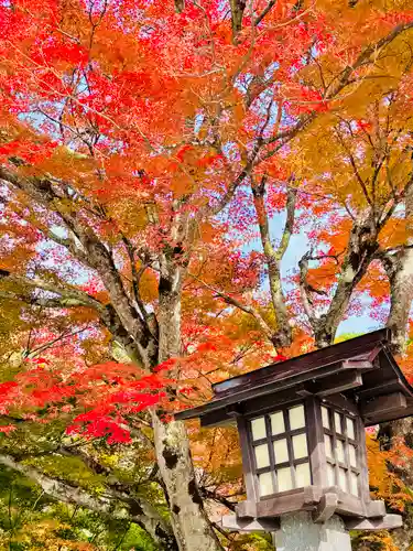 土津神社｜こどもと出世の神さま(福島県)