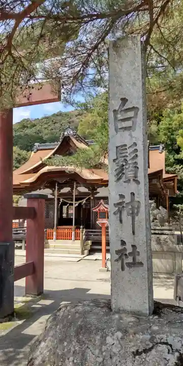 白鬚神社(滋賀県)