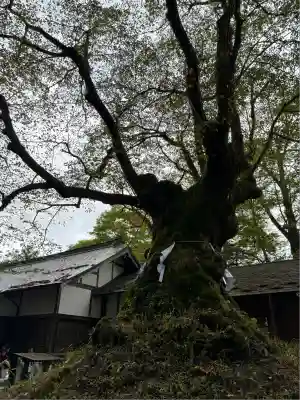熊野皇大神社(長野県)