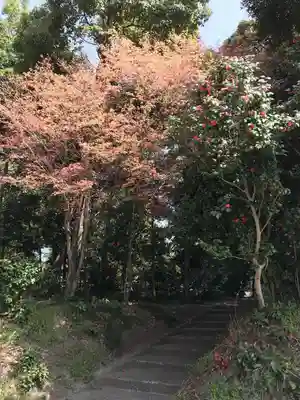 板倉雷電神社のその他建物