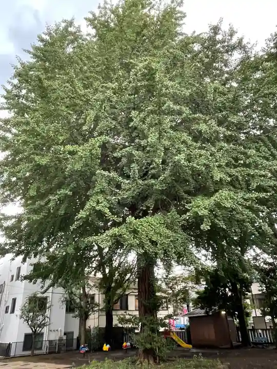 稲荷森稲荷神社の自然