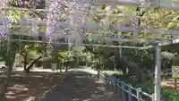 熊野神社の自然