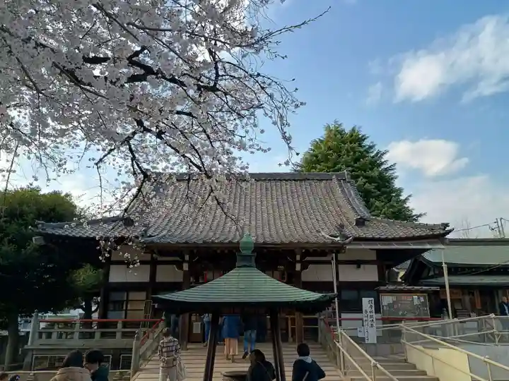 新井薬師(梅照院)(東京都)