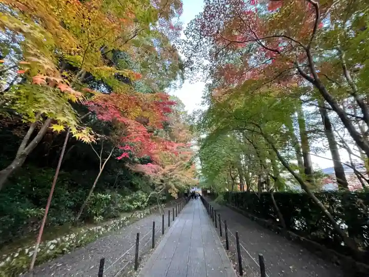光明寺(粟生光明寺)(京都府)