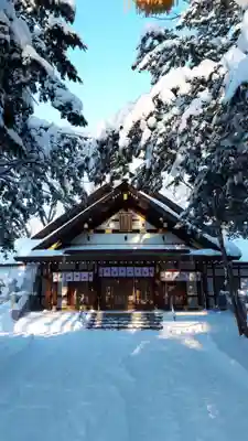 新琴似神社の本殿・本堂