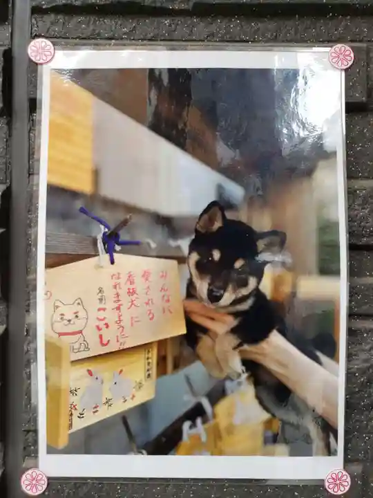 【閉業】小石川大神宮(東京都)