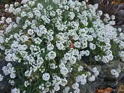 浄國寺(浄国寺)(大阪府)
