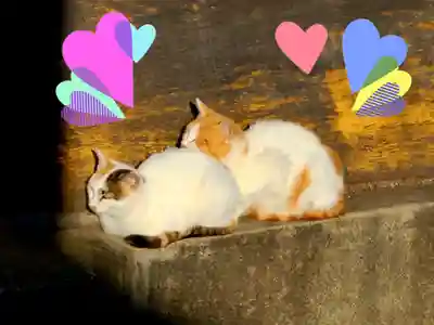 新宮熊野神社の動物