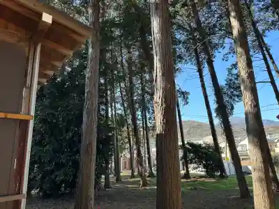 雷電神社の{uncategorized: "未分類", other: "その他", undefined: "問題あり", building: "その他建物", grave: "お墓", sacred_gate: "鳥居", guardian: "狛犬", statue: "像", buddha: "仏像", history: "歴史", nature: "自然", garden: "庭園", animal: "動物", pagoda: "塔", temizu: "手水舎", mountain_gate: "山門・神門", sanctuary: "本殿・本堂", subordinate: "末社・摂社", art: "芸術", scenery: "景色", jizo: "地蔵", ema: "絵馬", goshuin: "御朱印", omikuji: "おみくじ", items: "授与品その他", amulet: "お守り", goshuincho: "御朱印帳", eats: "食事", festival: "お祭り", votive_dance: "神楽", shichigosan: "七五三参", wedding: "結婚式", experience: "体験その他", initially: "初詣", around: "周辺", anti_infection: "感染症対策"}
