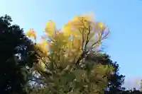 乙宿禰神社の自然