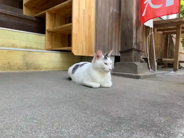 真野寺(千葉県)